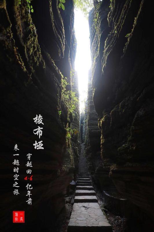 逃出无人荒岛