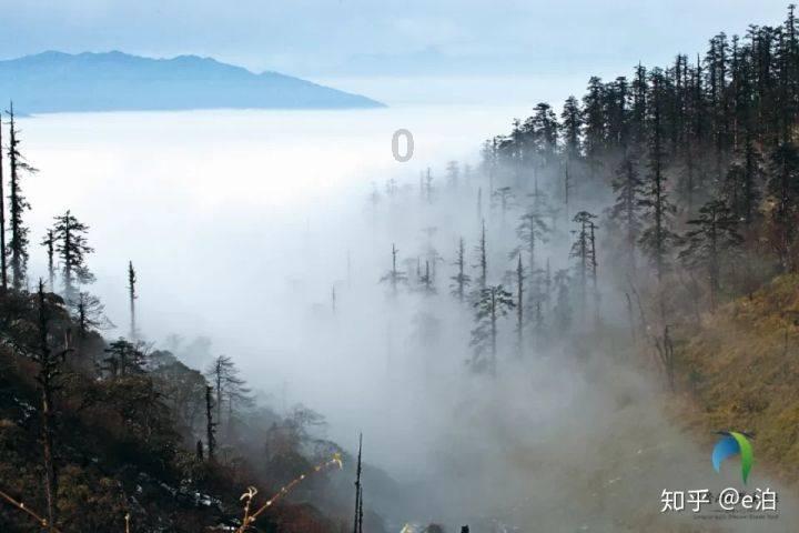 逃离宝藏岛屿