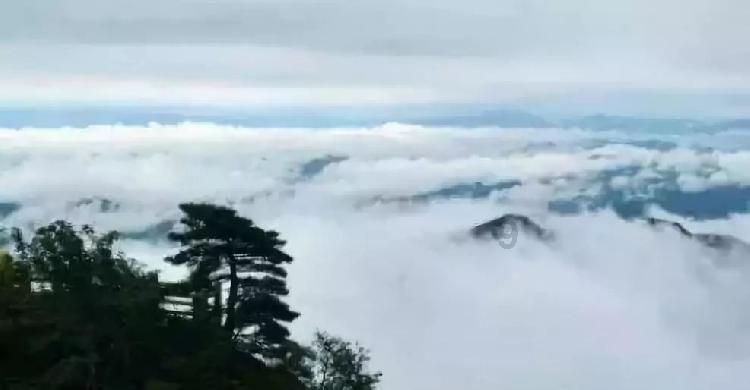 寻找遗失的车钥匙