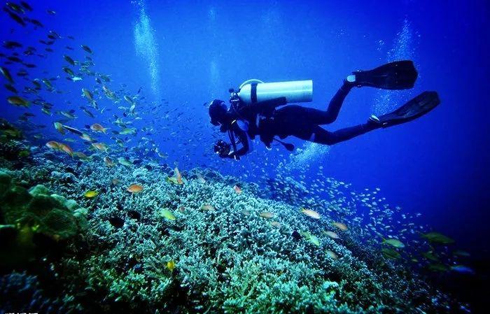 奇葩!两旅客打赌谁能带打火机登机均被罚