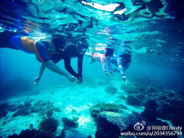 率土之滨