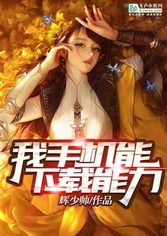 幻想纹章2.1