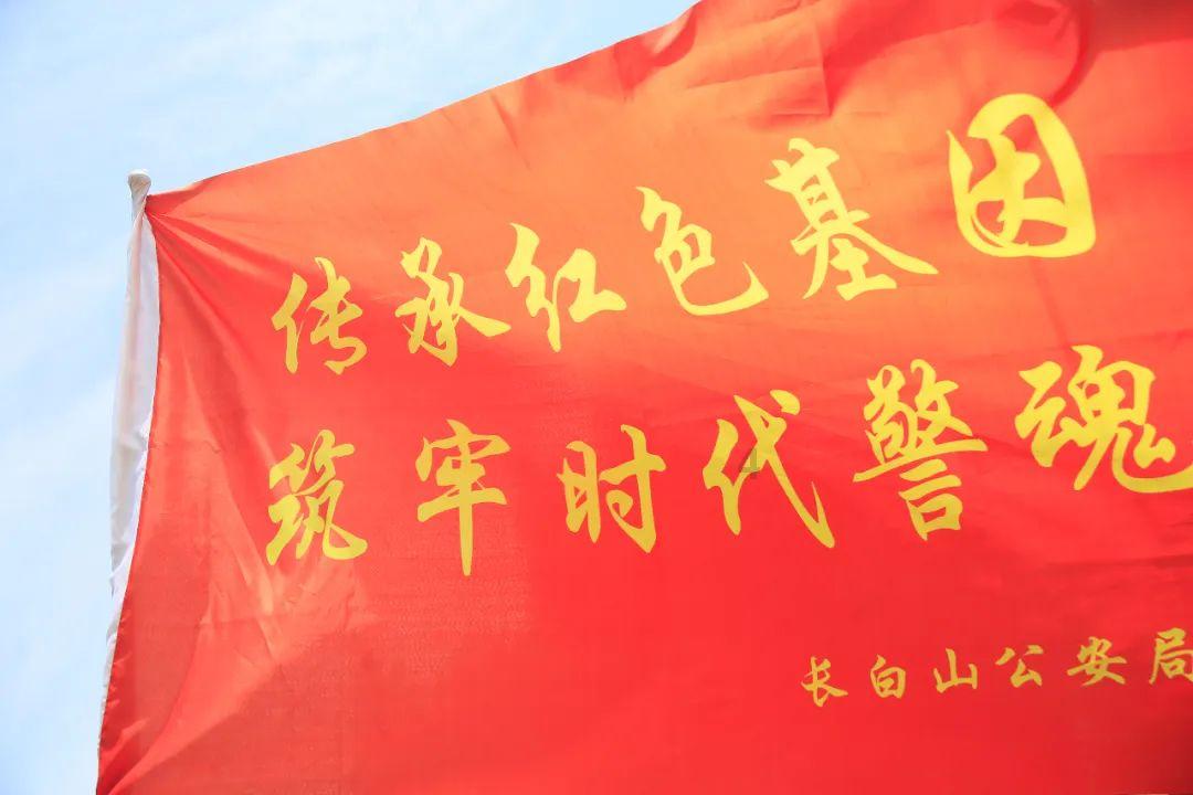 蘑菇女孩救援