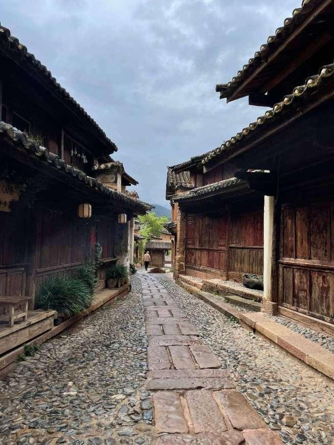 拯救可爱小浣熊