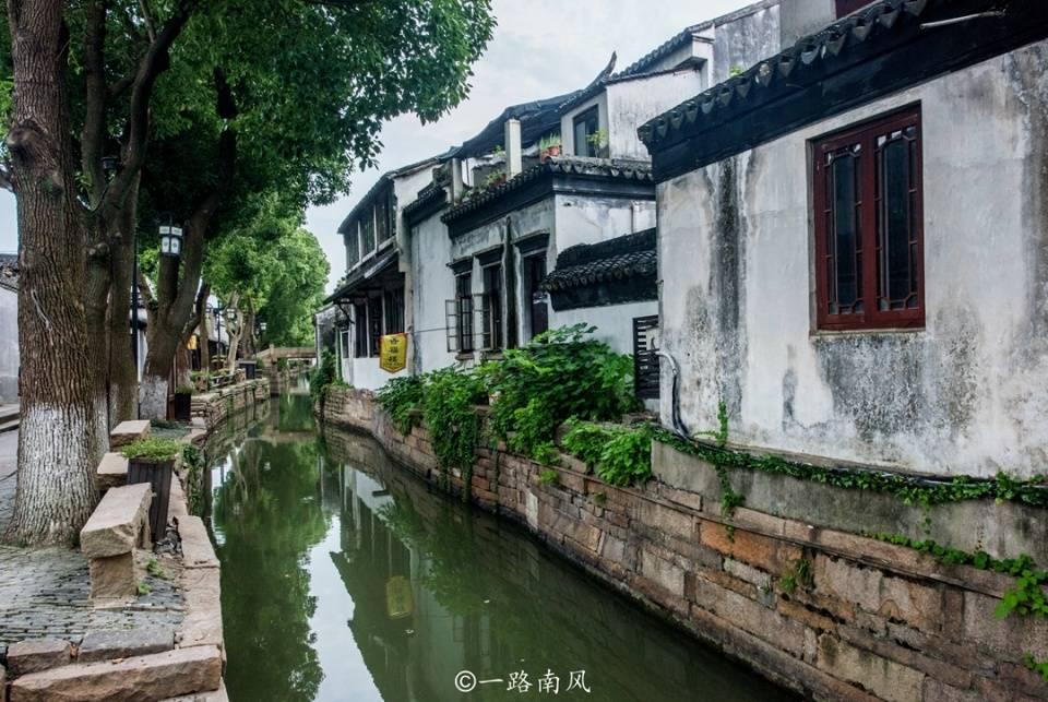矮化密植大樱桃抢“鲜”上市了